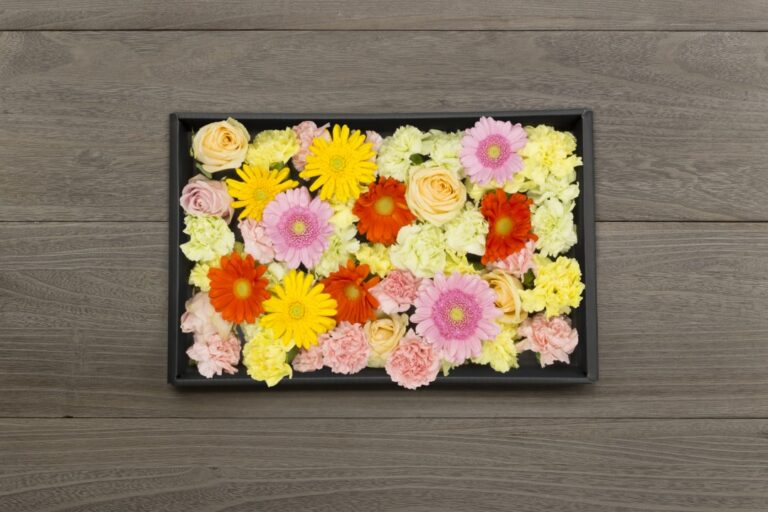 ウィルかわさき ミックス 7,700円(税込) -季節の花50輪-