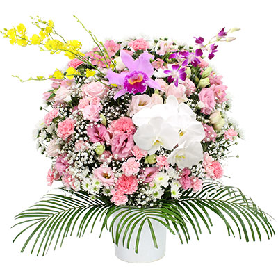 ウィルさいたま 洋花 26,400円(税込) ピンク