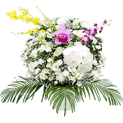 ウィルさいたま 洋花 26,400円(税込) ホワイト